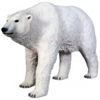 Polarbär laufend