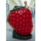 Erdbeere groß