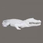 weißes Krokodil