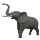 Elefant Rüssel oben