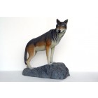 Wolf auf Felsen