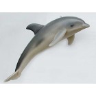 Delphin hängend 1