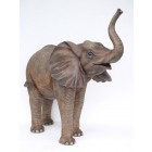 Baby Elefant stehend