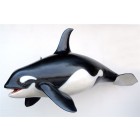 Orca Killerwal