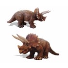 Triceratops klein