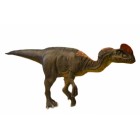 Diflonosaurus