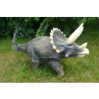 Triceratops klein