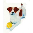 Jack Russell Terrier liegend mit Tennisball