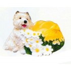 West Highland Terrier mit Blumenkörbchen