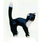 Katze mit Buckel schwarz weiß