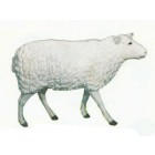 großes laufendes Schaf