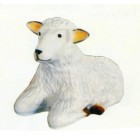 liegendes weißes Schaf Kopf oben