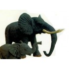 großer stehender Elefant Rüssel unten