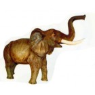 großer stehender Elefant Rüssel oben