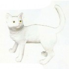 stehendes weißes Kätzchen