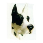 Hundekopf schwarz weiß
