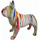 französische Bulldogge mit Farbverlauf