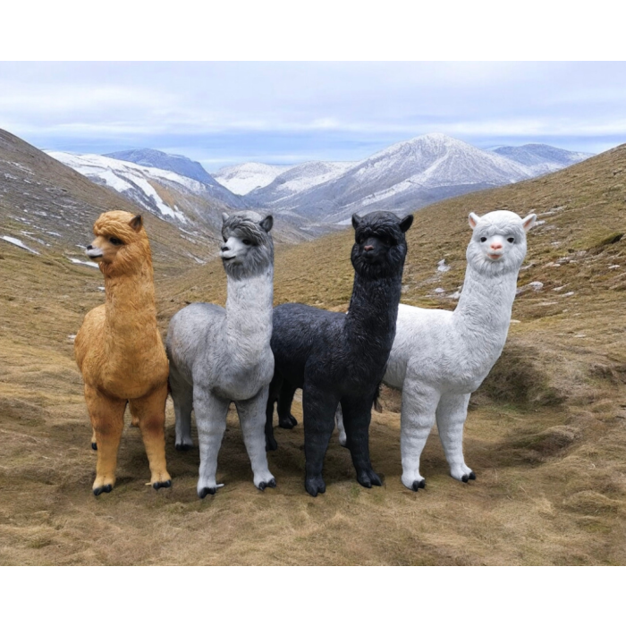 Lebensgroßes Alpaca