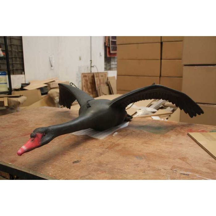 Fliegender schwarzer Schwan lebensgroß