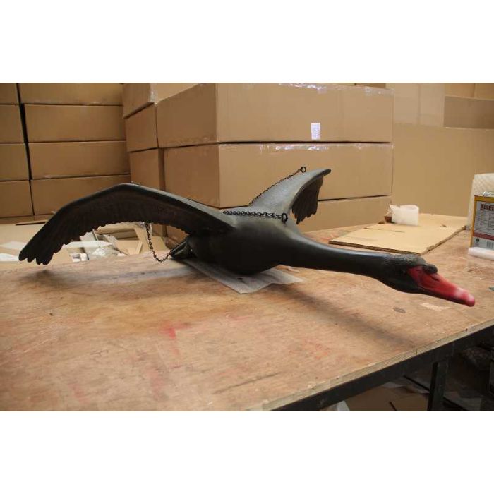 Fliegender schwarzer Schwan lebensgroß