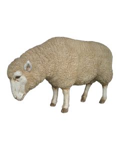 Merino Mutterschaf lebensgroß