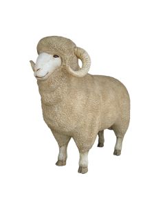 Merino Schafsbock lebensgroß