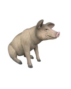 Kleines sitzendes Schwein lebensgroß