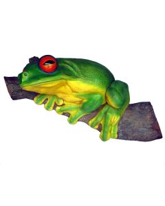 Baumfrosch verkleinert