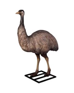 Emu lebensgroß lebensgroß