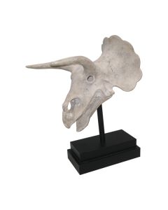 Triceratops Schädel auf Sockel lebensgroß