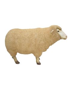 Merino Mutterschaf Kopf oben lebensgroß
