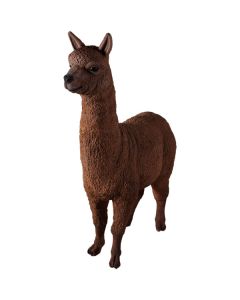 Alpaca lebensgroß