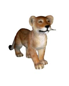 Löwenbaby stehend lebensgroß