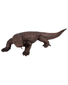 Komodo Veran lebensgroß