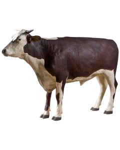 Hereford Stier lebensgroß