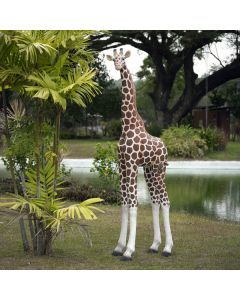 Giraffe medium lebensgroß