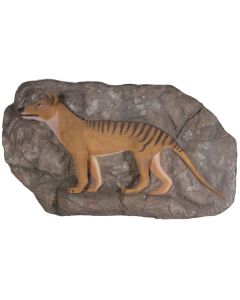 Tasmanischer Tiger auf Felsvorsprung lebensgroß