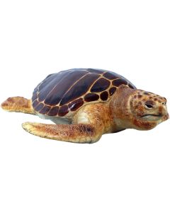 schwimmende Karettschildkröte lebensgroß