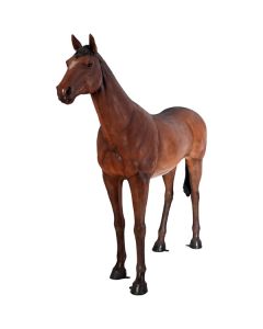 stehendes Pferd lebensgroß
