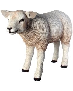 Lamm Wollschaf stehend lebensgroß