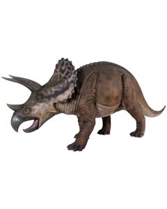 Triceratops lebensgroß