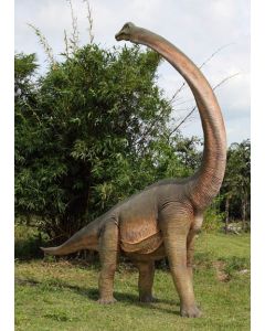 Brachiosaurus lebensgroß