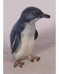 Feenpinguin Baby lebensgroß