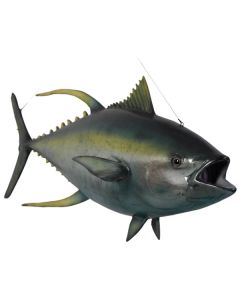 Gelbflossen Tunfisch lebensgroß
