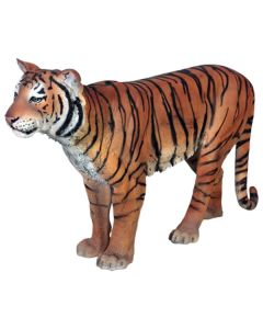 Sumatra Tiger lebensgroß