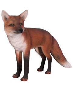 roter Fuchs lebensgroß