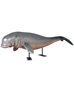 Dugong auf Metallständer lebensgroß