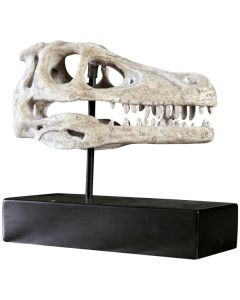 Raptor Schädel auf Base lebensgroß