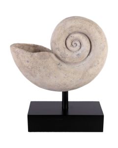 Nautilus Muschel auf Base groß lebensgroß