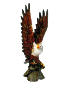 Amerikanischer Weißkopfseeadler Flügel oben lebensgroß